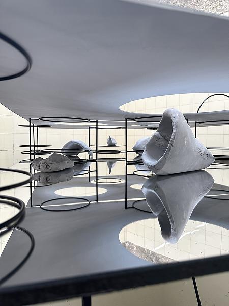 MULTI-ORGANS (OLDER THAN HUMANS)