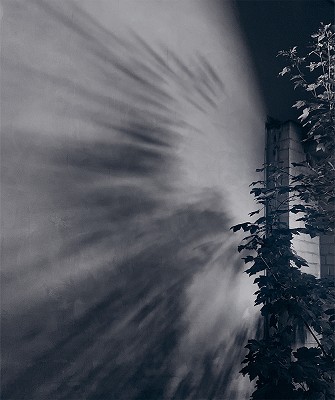 Routes of Empathy - on the Emphatic in Art
