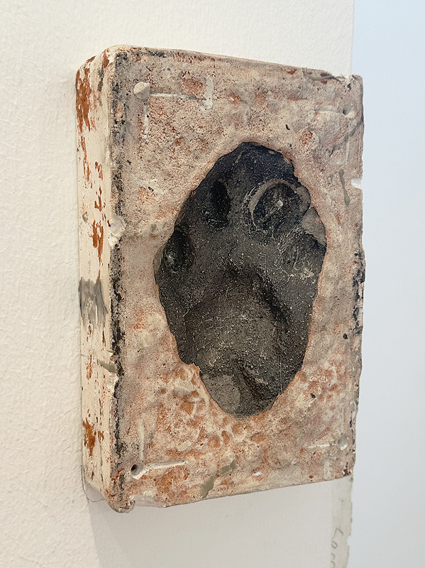 SNOW LEOPARD TRACK (TRACING THE TRACK, PAW – HAND)