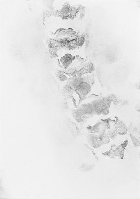 INVENTING THE SPINE